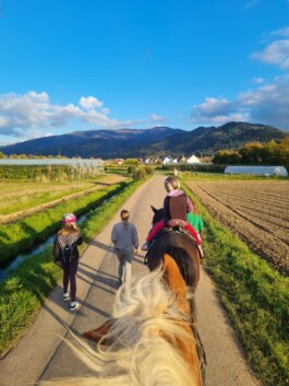 Hospizgruppe Freiburg e. V.