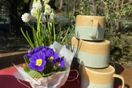 Hospizgruppe Freiburg e. V.