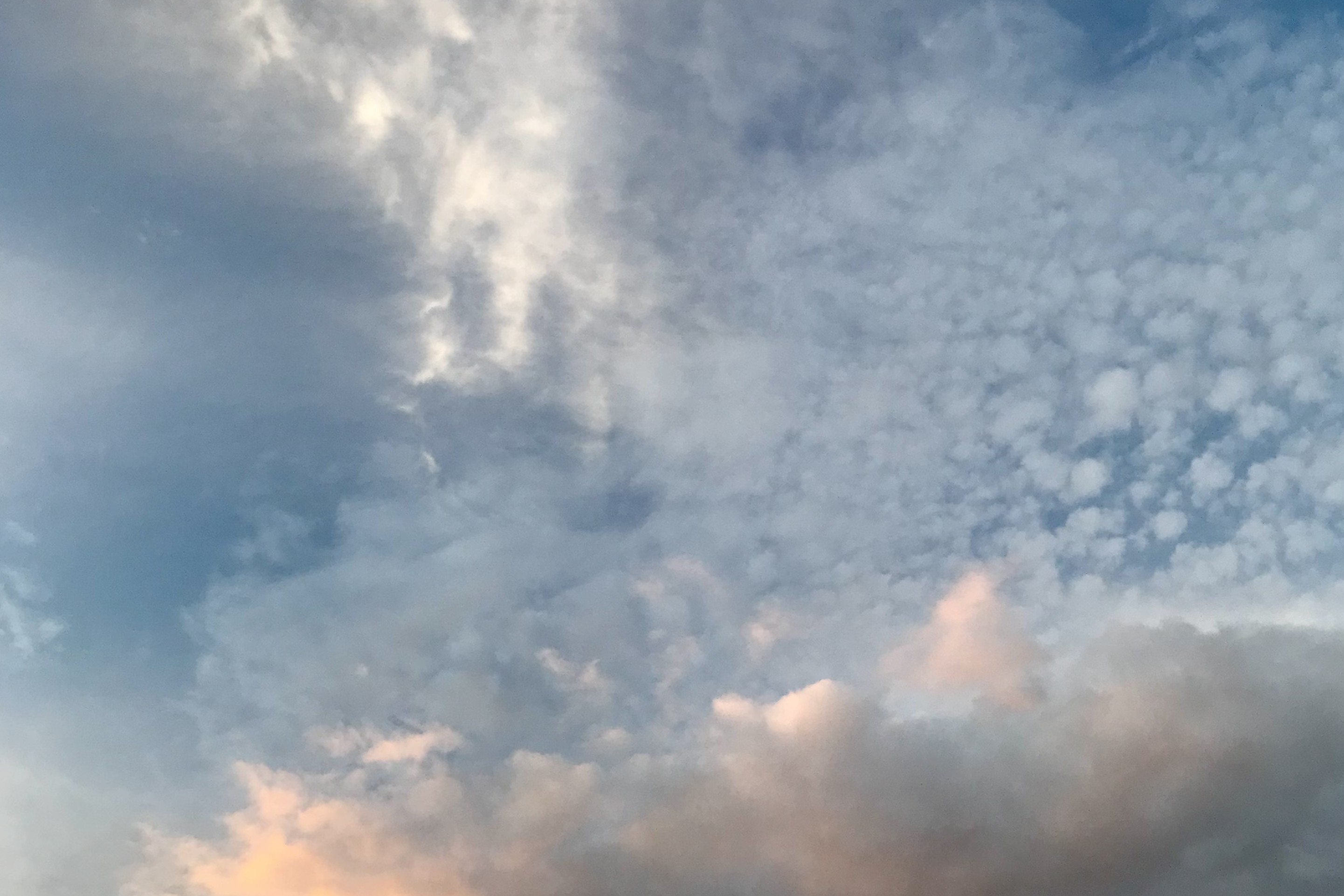 Hospizgruppe Freiburg e. V.