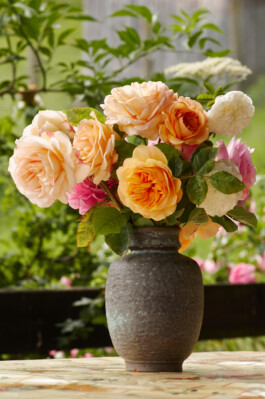 Hospizgruppe Freiburg e. V.